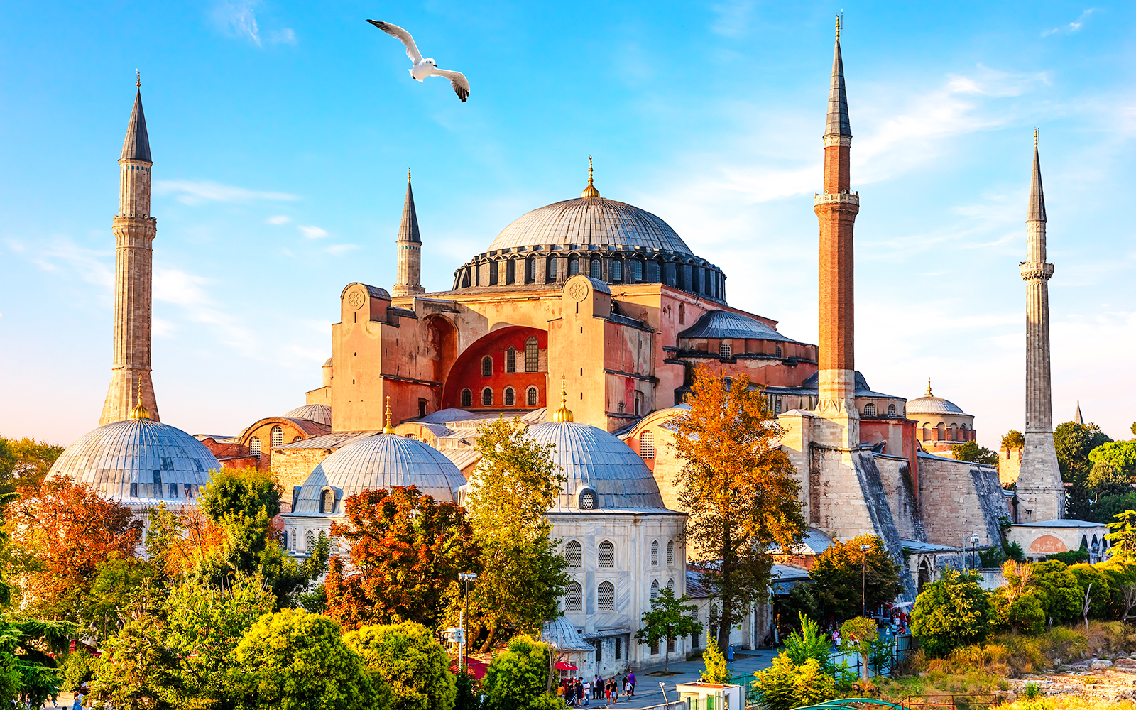 Hagia Sophia with minarets and dome in Istanbul, surrounded by trees and a clear sky.