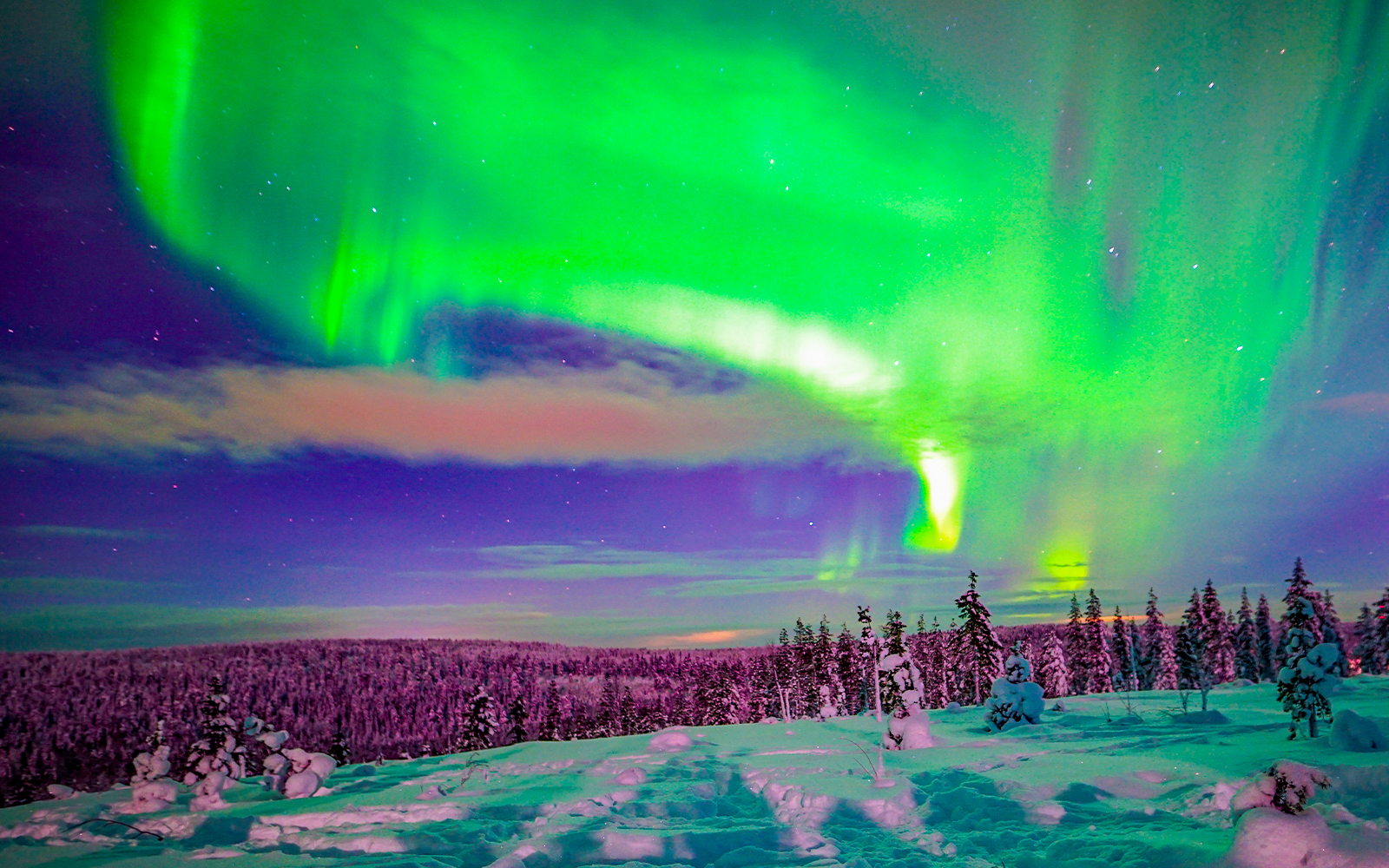 Northern Lights over snowy forest in Rovaniemi, Finland.