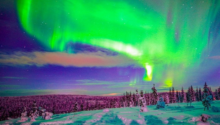Northern Lights over snowy forest in Rovaniemi, Finland.