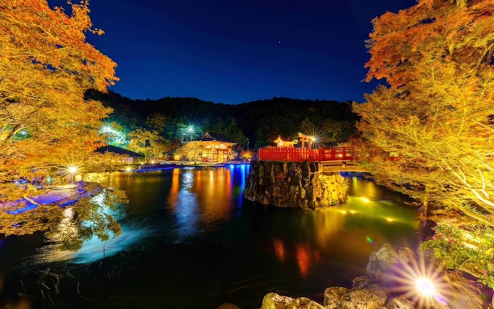 Katsuo-ji Temple illuminated at night with vibrant autumn foliage in Osaka.