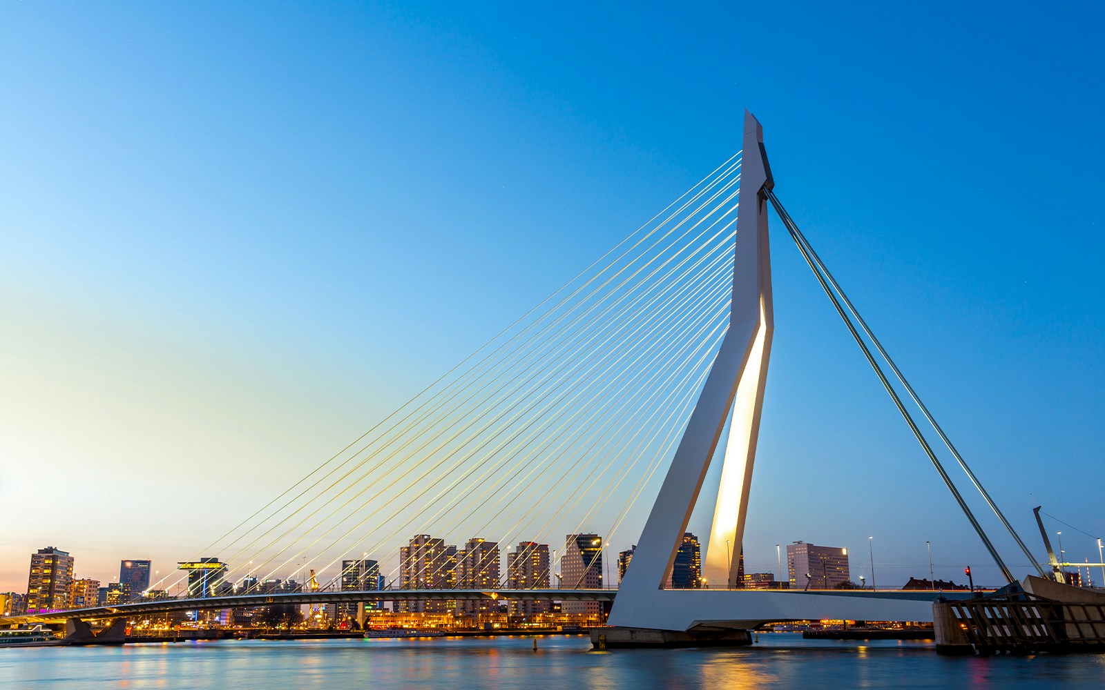rotterdam cruises