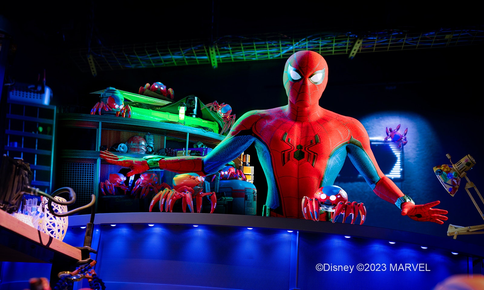 Doge's Palace Guided Tours