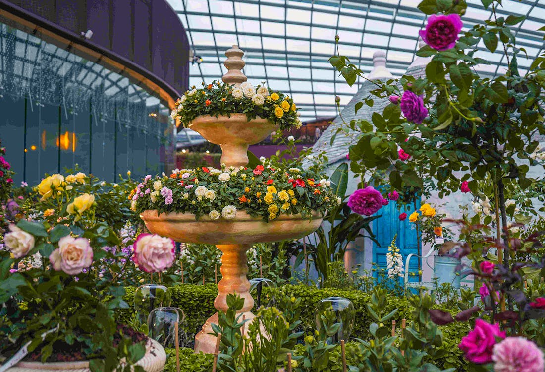 flower display at gardens of bay