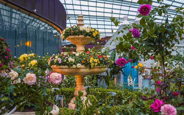 Colorful flowers and fountain in Gardens by the Bay's Floral Fantasy, Singapore.