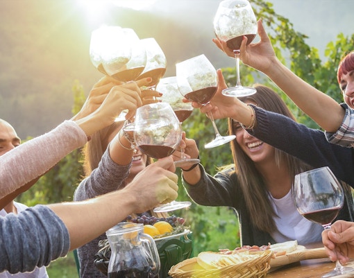 Group toasting with wine in Yarra Valley vineyard during scenic day tour with lunch.