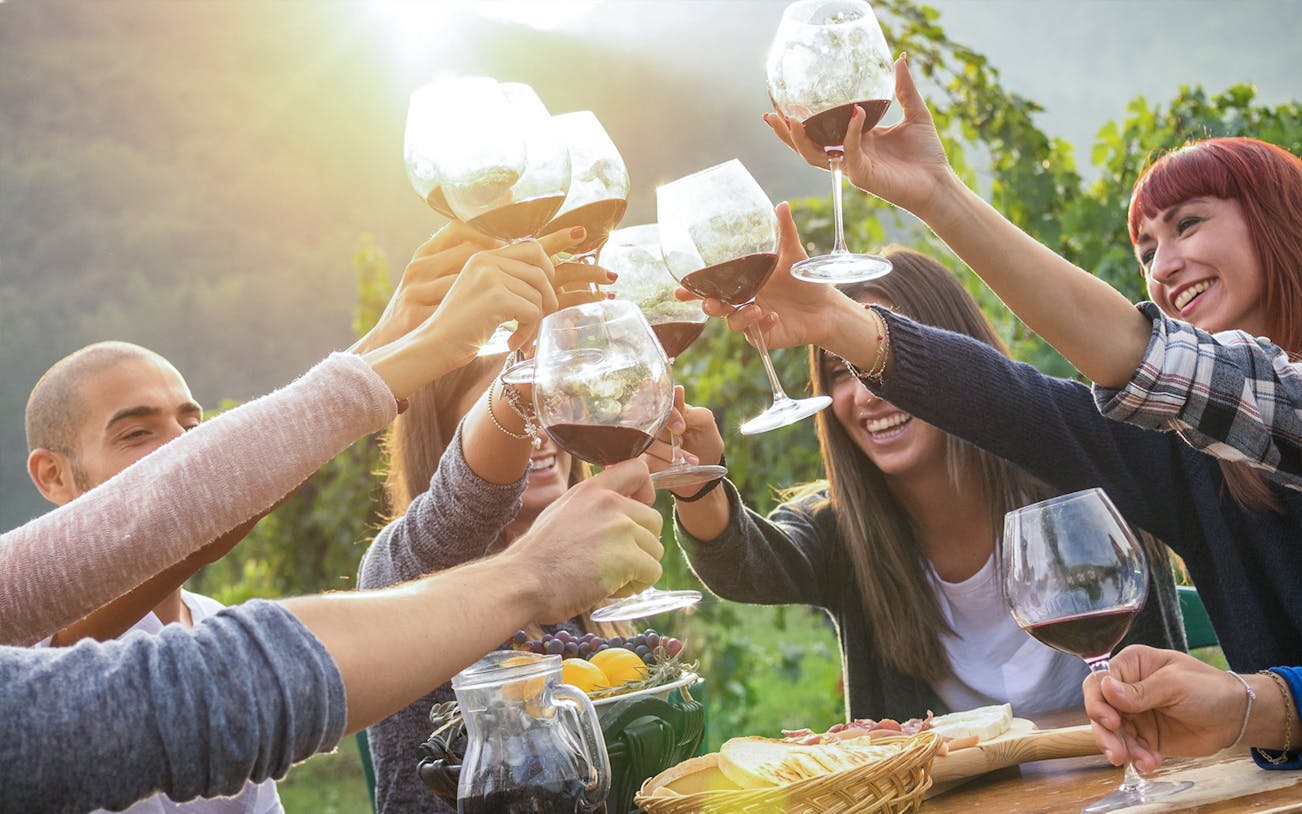 Group toasting with wine in Yarra Valley vineyard during scenic day tour with lunch.