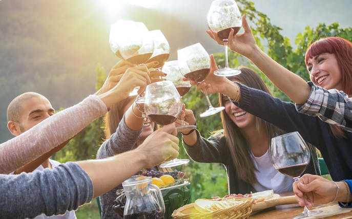 Group toasting with wine in Yarra Valley vineyard during scenic day tour with lunch.