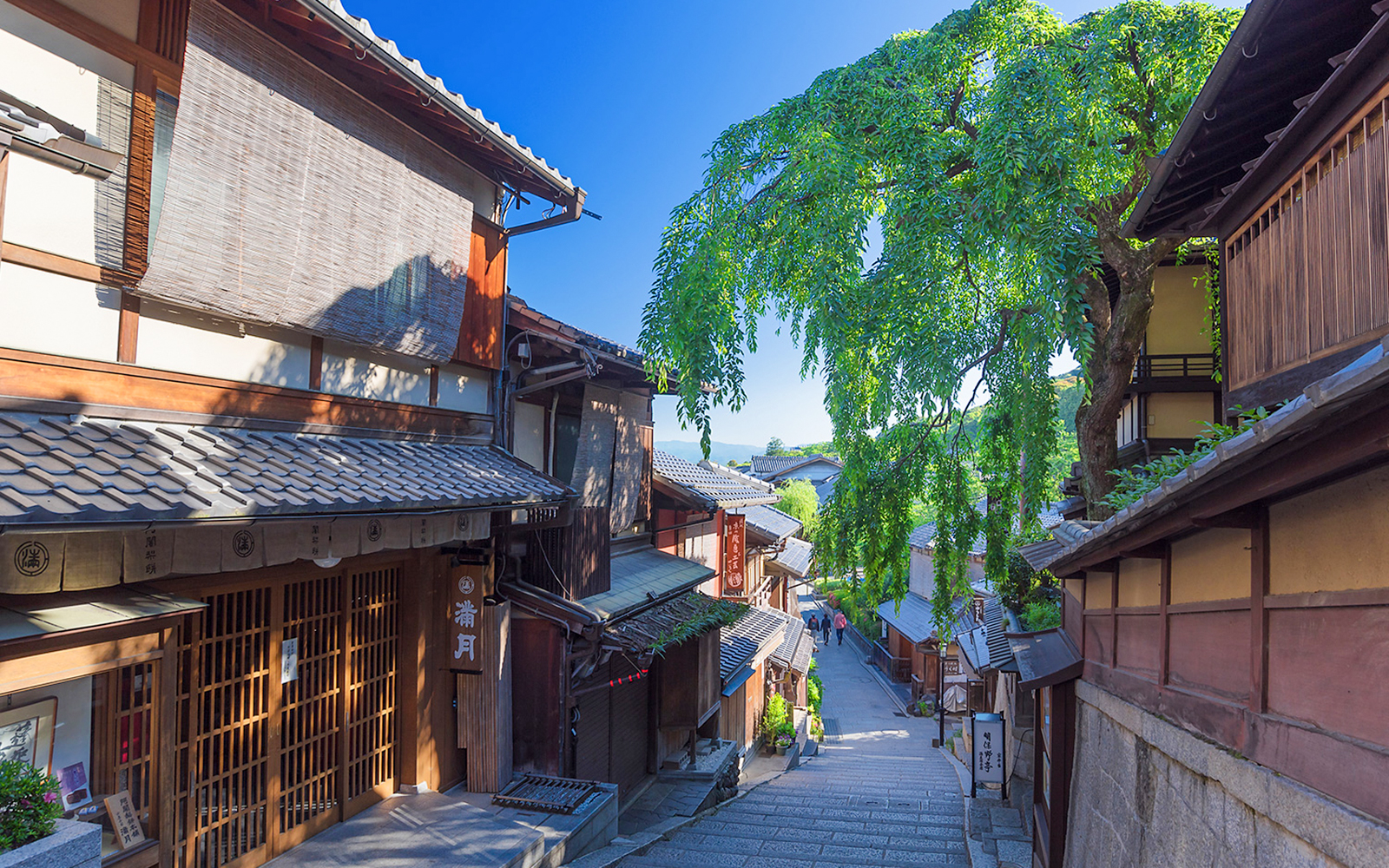 Stone street in Gion, Kyoto, with traditional wooden buildings and a large weeping tree.