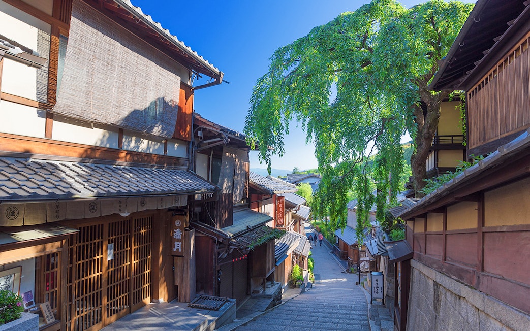Stone street in Gion, Kyoto, with traditional wooden buildings and a large weeping tree.