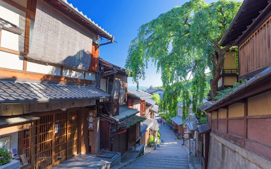 Stone street in Gion, Kyoto, with traditional wooden buildings and a large weeping tree.