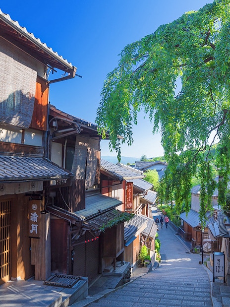Stone street in Gion, Kyoto, with traditional wooden buildings and a large weeping tree.