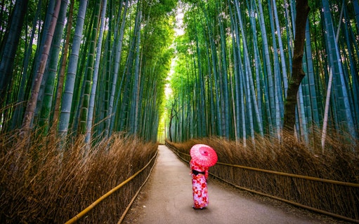 katsuo-ji temple guided day tour from kyoto-5