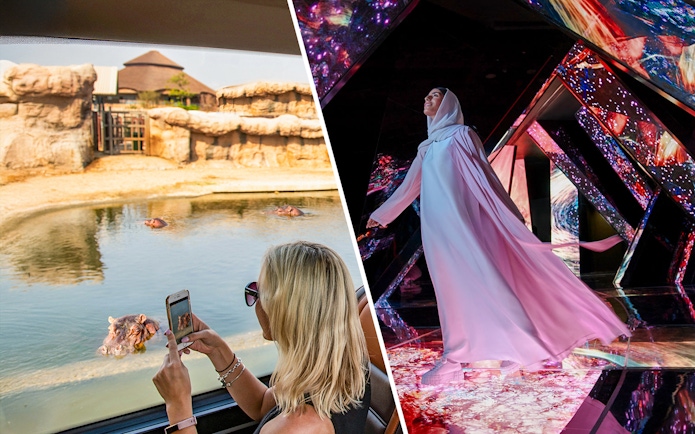 Dubai Safari Park hippo viewing and AYA Universe immersive experience.