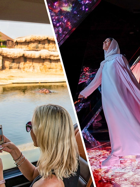 Dubai Safari Park hippo viewing and AYA Universe immersive experience.