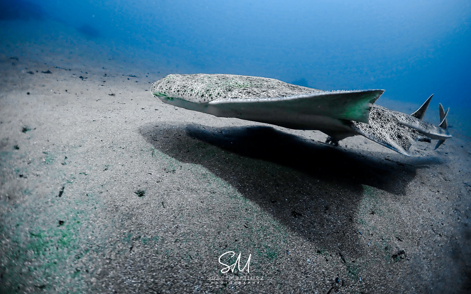 Lanzarote Intro Scuba Diving SSI Basic Diver with 2 Dives