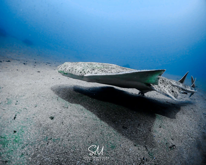 Lanzarote Intro Scuba Diving SSI Basic Diver with 2 Dives