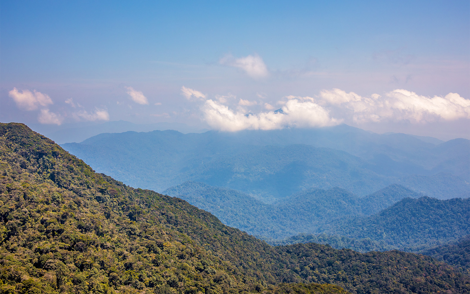 Lim Gohtong Memorial Park entrance with lush greenery, Genting Highlands, Malaysia.