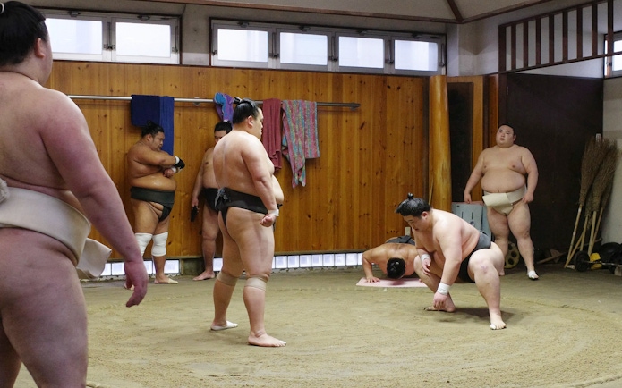 Sumo wrestlers practicing in a traditional Asakusa training room.