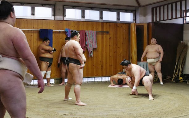 Sumo wrestlers practicing in a traditional Asakusa training room.