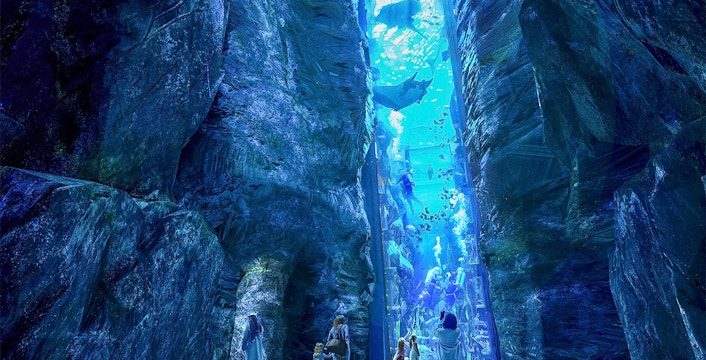 No Cost Bonus Tickets