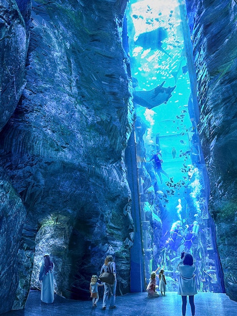 Underwater aquarium tunnel with visitors observing marine life and divers.