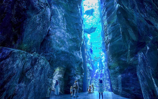 Underwater aquarium tunnel with visitors observing marine life and divers.