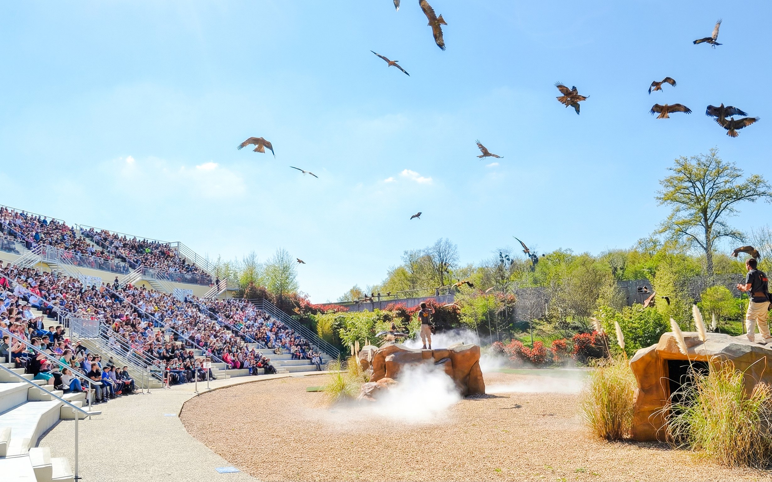 Bird show at Zooparc de Beauval amphitheater, Loire Valley, France, with audience watching.