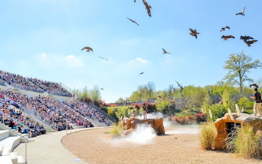 Bird show at Zooparc de Beauval amphitheater, Loire Valley, France, with audience watching.
