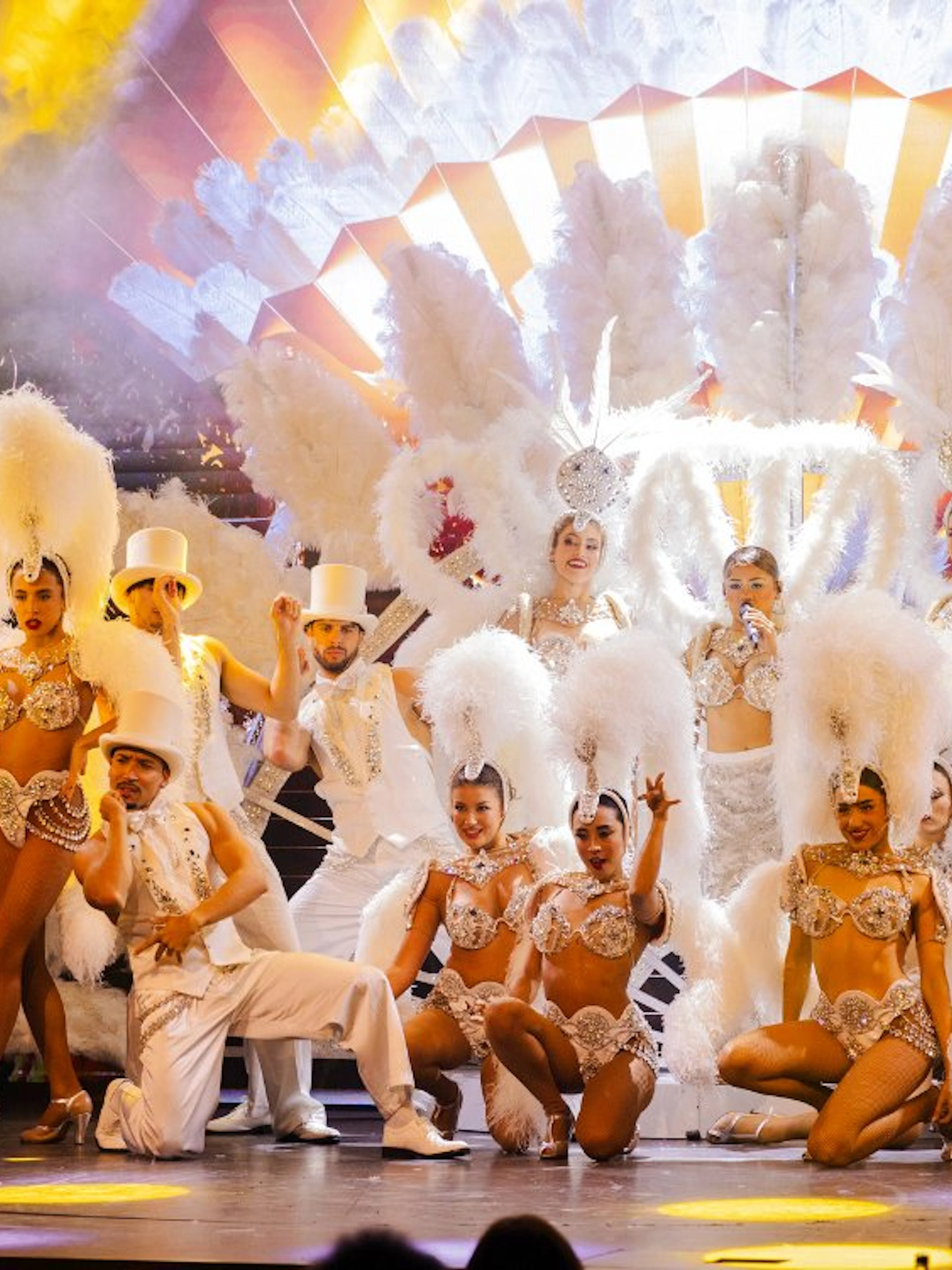 Samba dancers in vibrant costumes performing at Paris Paradis.