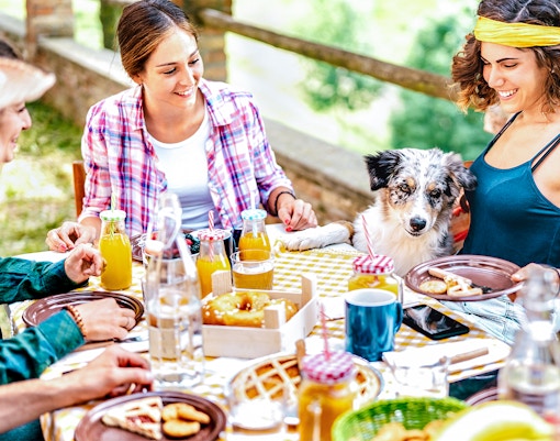 A group of tourist enjoying picnic near Kravice Waterfalls