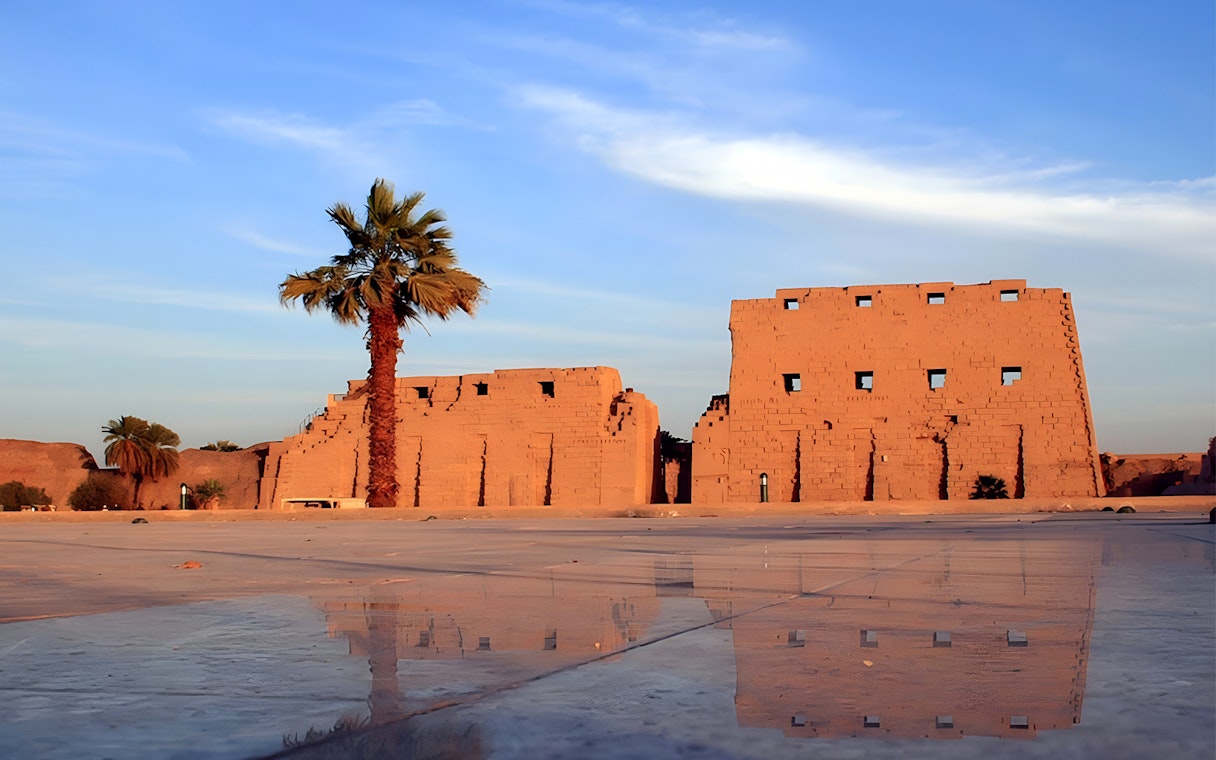 Luxor Temple ruins with palm tree and reflection on wet ground, Egypt.
