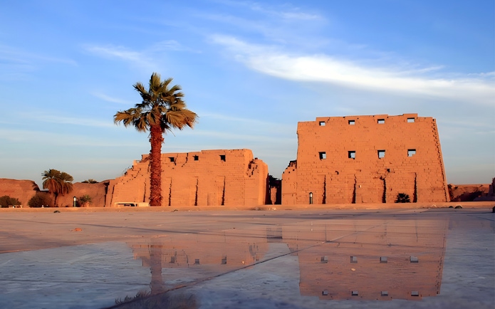 Luxor Temple ruins with palm tree and reflection on wet ground, Egypt.