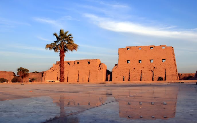 Luxor Temple ruins with palm tree and reflection on wet ground, Egypt.