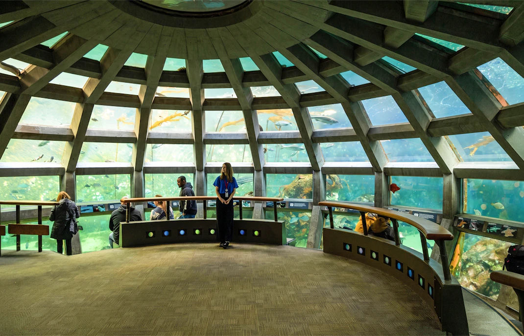 Visitors observing marine life in the underwater dome at Seattle Aquarium.