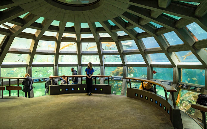 Visitors observing marine life in the underwater dome at Seattle Aquarium.
