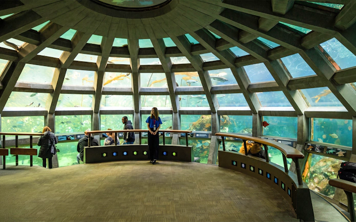 Visitors observing marine life in the underwater dome at Seattle Aquarium.
