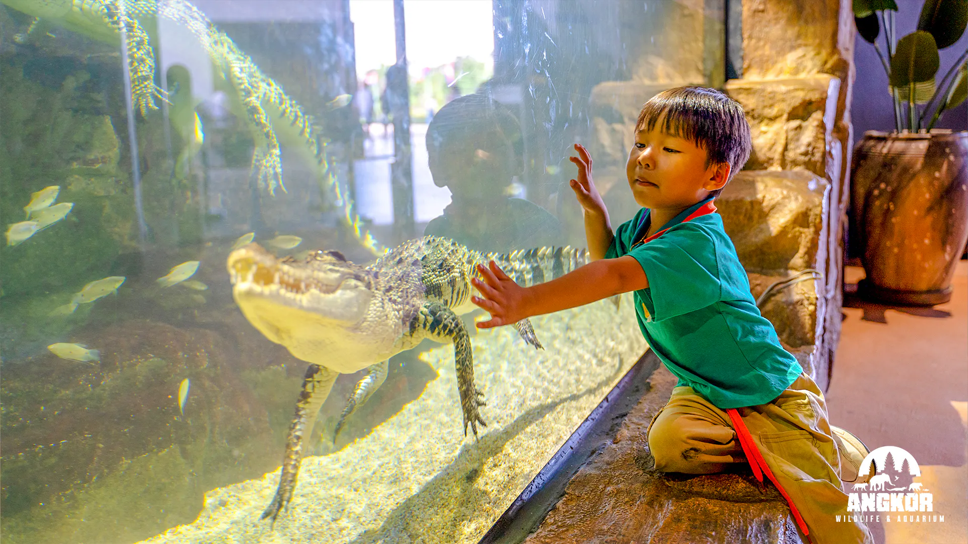 Child observing crocodile through glass at Angkor Wildlife and Aquarium, Siem Reap.