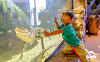 Child observing crocodile through glass at Angkor Wildlife and Aquarium, Siem Reap.