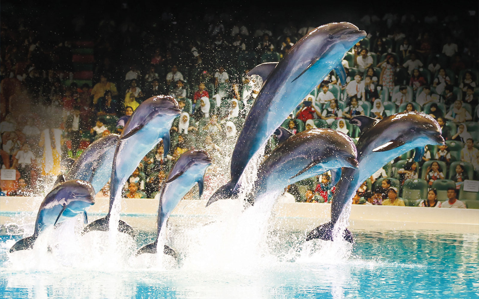 Dubai Dolphinarium