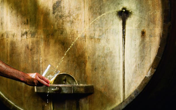 Cider being poured from a barrel into a glass during a San Sebastian cider house tour.