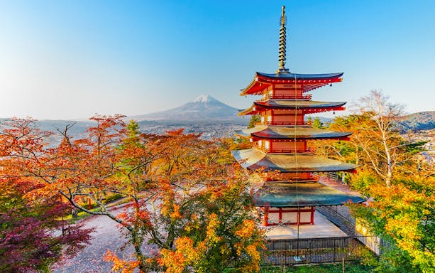 Panoramic view of Mt. Fuji from Arakurayama Sengen Park with cherry blossoms in foreground.