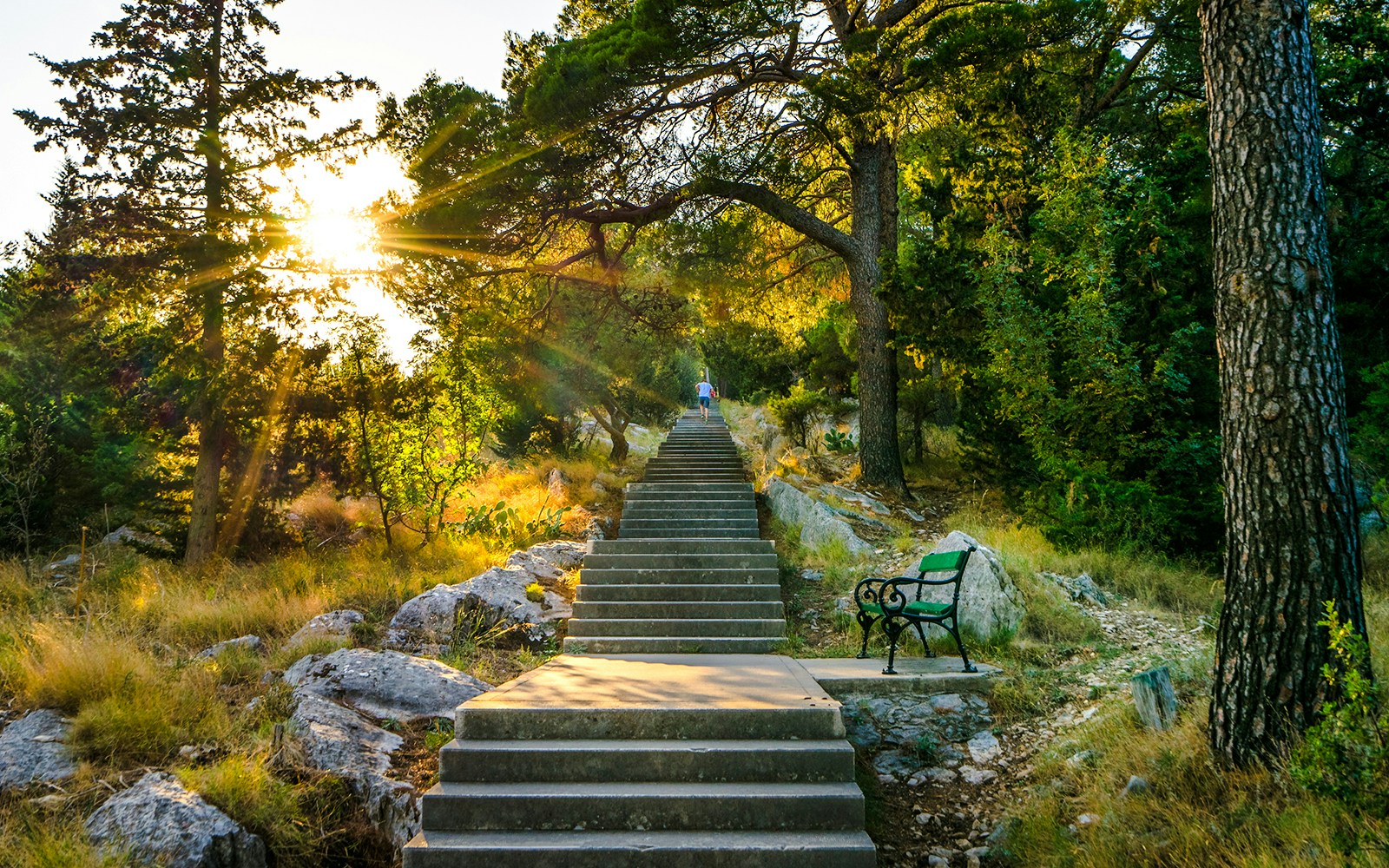 Stairs leading through trees in Marjan Park, Split, Croatia, with sunlight filtering through.