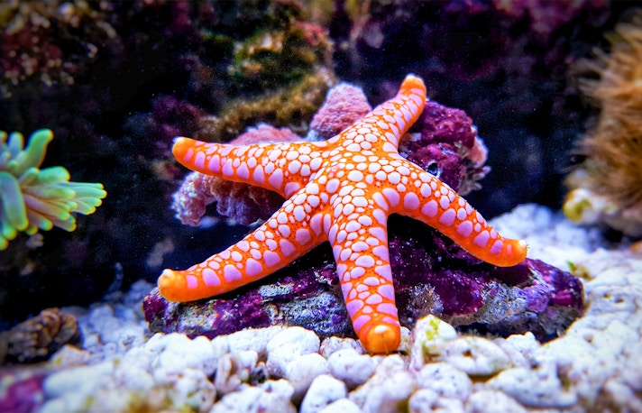 Barcelona Aquarium