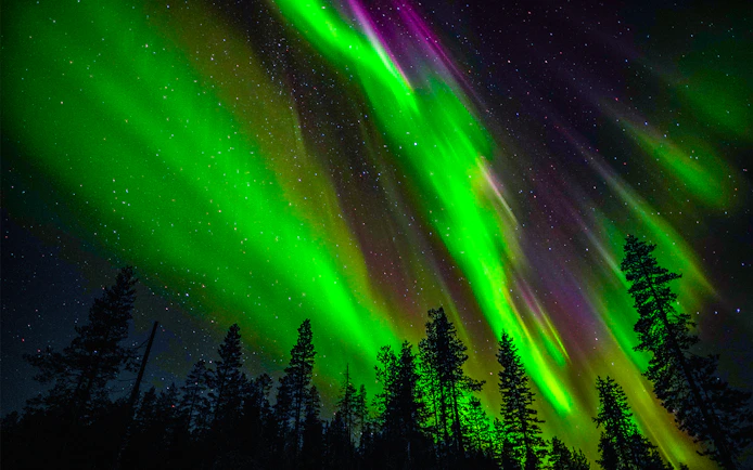 Northern Lights illuminating the night sky over Rovaniemi with silhouetted trees.