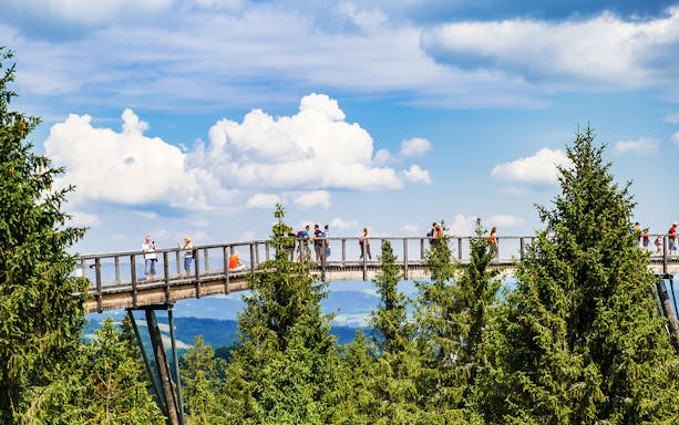Visitors walking on Slovakia Treetop Walk with scenic forest views.