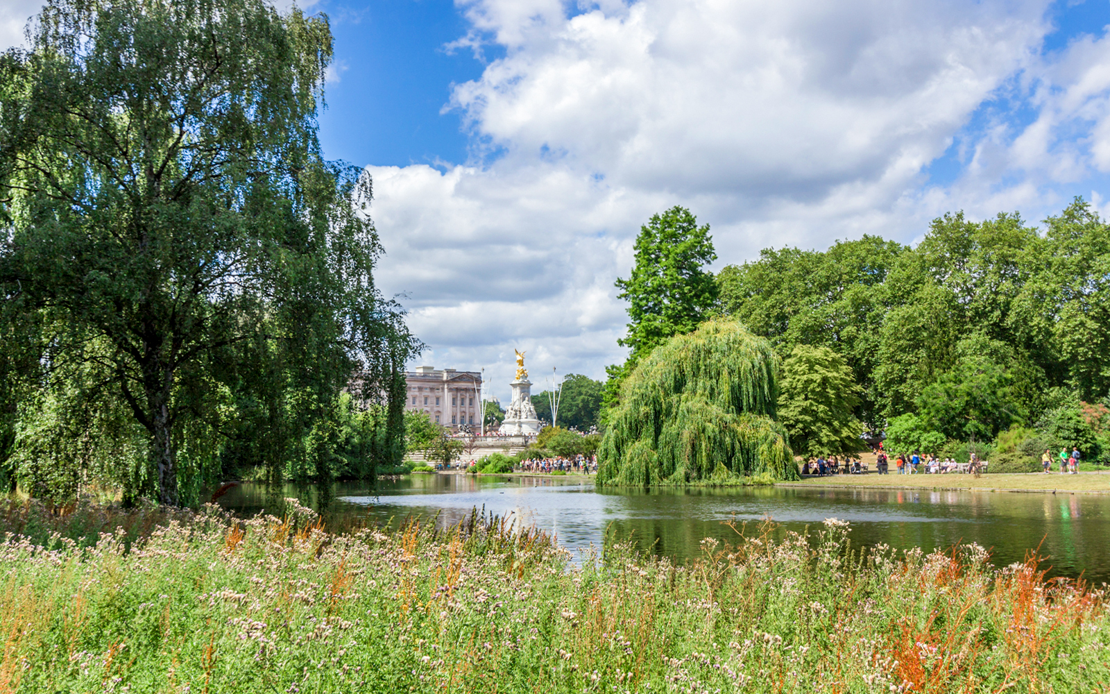 Buckingham Palace Garden Lake with swans and lush greenery in London.