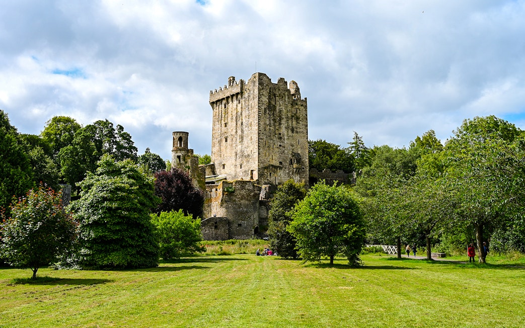 Blarney Castle and Gardens surrounded by lush greenery in Ireland.