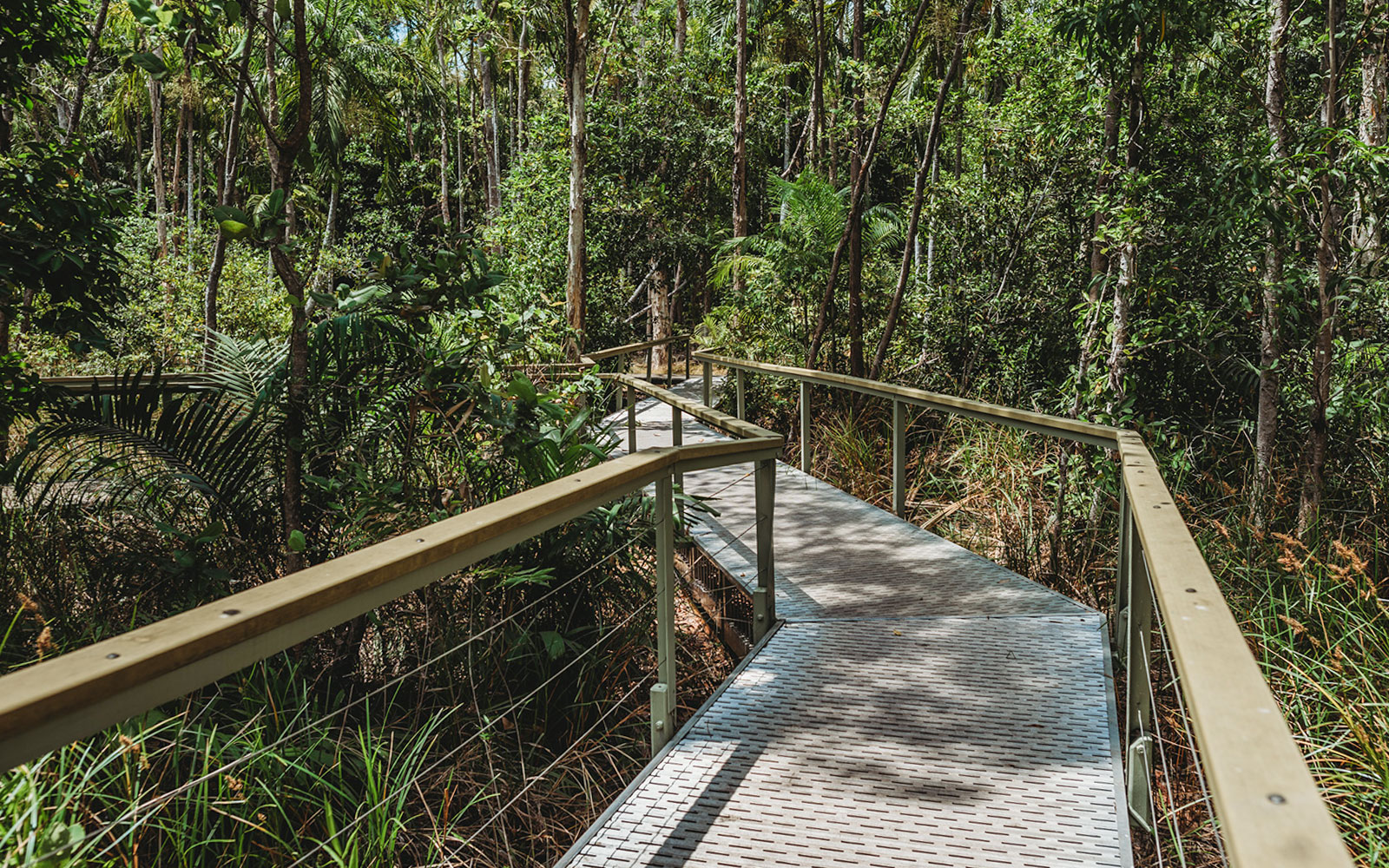 Boardwalk through lush forest in Litchfield National Park, Australia.
