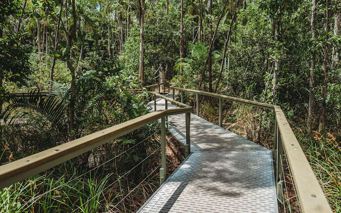 Boardwalk through lush forest in Litchfield National Park, Australia.