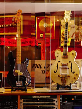 Bilety na wycieczkę do irlandzkiego muzeum rock'n'rolla